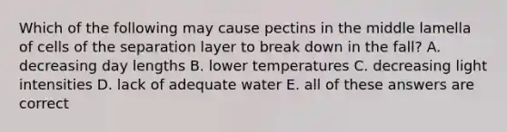 Which of the following may cause pectins in the middle lamella of cells of the separation layer to break down in the fall? A. decreasing day lengths B. lower temperatures C. decreasing light intensities D. lack of adequate water E. all of these answers are correct