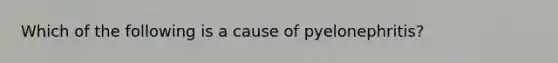 Which of the following is a cause of pyelonephritis?