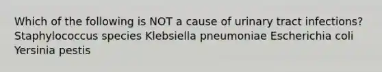 Which of the following is NOT a cause of urinary tract infections? Staphylococcus species Klebsiella pneumoniae Escherichia coli Yersinia pestis