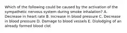 Which of the following could be caused by the activation of the sympathetic nervous system during smoke inhalation? A. Decrease in heart rate B. Increase in blood pressure C. Decrease in blood pressure D. Damage to blood vessels E. Dislodging of an already formed blood clot