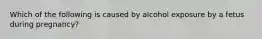 Which of the following is caused by alcohol exposure by a fetus during pregnancy?