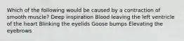 Which of the following would be caused by a contraction of smooth muscle? Deep inspiration Blood leaving the left ventricle of the heart Blinking the eyelids Goose bumps Elevating the eyebrows