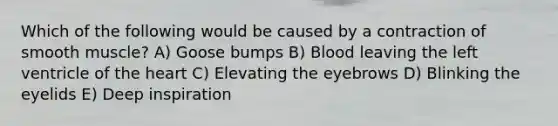 Which of the following would be caused by a contraction of smooth muscle? A) Goose bumps B) Blood leaving the left ventricle of <a href='https://www.questionai.com/knowledge/kya8ocqc6o-the-heart' class='anchor-knowledge'>the heart</a> C) Elevating the eyebrows D) Blinking the eyelids E) Deep inspiration