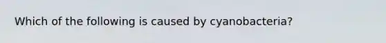 Which of the following is caused by cyanobacteria?