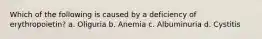 Which of the following is caused by a deficiency of erythropoietin? a. Oliguria b. Anemia c. Albuminuria d. Cystitis