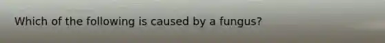 Which of the following is caused by a fungus?