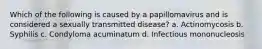 Which of the following is caused by a papillomavirus and is considered a sexually transmitted disease? a. Actinomycosis b. Syphilis c. Condyloma acuminatum d. Infectious mononucleosis