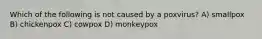 Which of the following is not caused by a poxvirus? A) smallpox B) chickenpox C) cowpox D) monkeypox