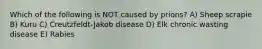 Which of the following is NOT caused by prions? A) Sheep scrapie B) Kuru C) Creutzfeldt-Jakob disease D) Elk chronic wasting disease E) Rabies