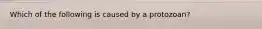 Which of the following is caused by a protozoan?