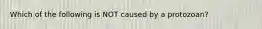 Which of the following is NOT caused by a protozoan?