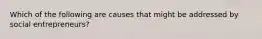 Which of the following are causes that might be addressed by social entrepreneurs?
