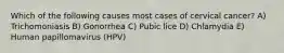 Which of the following causes most cases of cervical cancer? A) Trichomoniasis B) Gonorrhea C) Pubic lice D) Chlamydia E) Human papillomavirus (HPV)