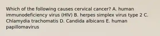 Which of the following causes cervical cancer? A. human immunodeficiency virus (HIV) B. herpes simplex virus type 2 C. Chlamydia trachomatis D. Candida albicans E. human papillomavirus