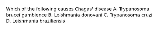 Which of the following causes Chagas' disease A. Trypanosoma brucei gambience B. Leishmania donovani C. Trypanosoma cruzi D. Leishmania braziliensis