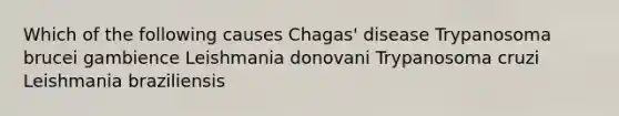 Which of the following causes Chagas' disease Trypanosoma brucei gambience Leishmania donovani Trypanosoma cruzi Leishmania braziliensis