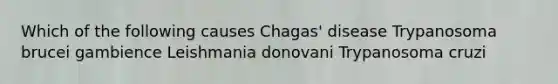 Which of the following causes Chagas' disease Trypanosoma brucei gambience Leishmania donovani Trypanosoma cruzi