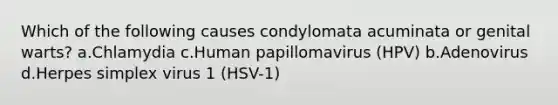 Which of the following causes condylomata acuminata or genital warts? a.Chlamydia c.Human papillomavirus (HPV) b.Adenovirus d.Herpes simplex virus 1 (HSV-1)