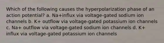 Which of the following causes the hyperpolarization phase of an action potential? a. Na+influx via voltage-gated sodium ion channels b. K+ outflow via voltage-gated potassium ion channels c. Na+ outflow via voltage-gated sodium ion channels d. K+ influx via voltage-gated potassium ion channels