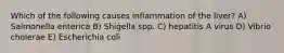 Which of the following causes inflammation of the liver? A) Salmonella enterica B) Shigella spp. C) hepatitis A virus D) Vibrio cholerae E) Escherichia coli