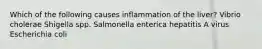 Which of the following causes inflammation of the liver? Vibrio cholerae Shigella spp. Salmonella enterica hepatitis A virus Escherichia coli