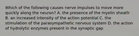 Which of the following causes nerve impulses to move more quickly along the neuron? A. the presence of the myelin sheath B. an increased intensity of the action potential C. the stimulation of the parasympathetic nervous system D. the action of hydrolytic enzymes present in the synaptic gap