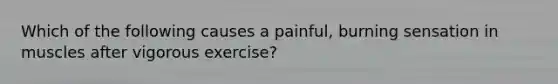 Which of the following causes a painful, burning sensation in muscles after vigorous exercise?