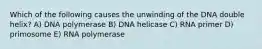 Which of the following causes the unwinding of the DNA double helix? A) DNA polymerase B) DNA helicase C) RNA primer D) primosome E) RNA polymerase