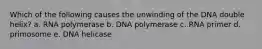 Which of the following causes the unwinding of the DNA double helix? a. RNA polymerase b. DNA polymerase c. RNA primer d. primosome e. DNA helicase