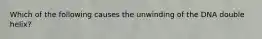 Which of the following causes the unwinding of the DNA double helix?