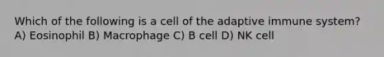 Which of the following is a cell of the adaptive immune system? A) Eosinophil B) Macrophage C) B cell D) NK cell