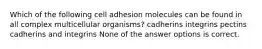 Which of the following cell adhesion molecules can be found in all complex multicellular organisms? cadherins integrins pectins cadherins and integrins None of the answer options is correct.