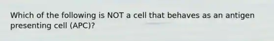 Which of the following is NOT a cell that behaves as an antigen presenting cell (APC)?