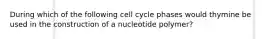 During which of the following cell cycle phases would thymine be used in the construction of a nucleotide polymer?