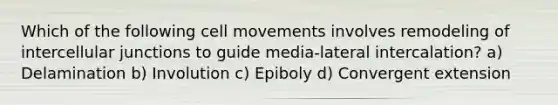 Which of the following cell movements involves remodeling of intercellular junctions to guide media-lateral intercalation? a) Delamination b) Involution c) Epiboly d) Convergent extension