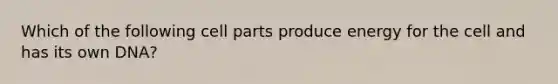 Which of the following cell parts produce energy for the cell and has its own DNA?