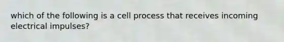 which of the following is a cell process that receives incoming electrical impulses?