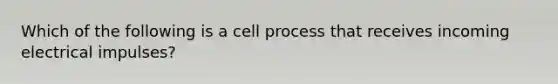 Which of the following is a cell process that receives incoming electrical impulses?