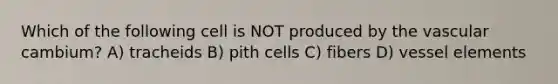 Which of the following cell is NOT produced by the vascular cambium? A) tracheids B) pith cells C) fibers D) vessel elements