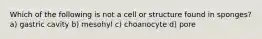 Which of the following is not a cell or structure found in sponges? a) gastric cavity b) mesohyl c) choanocyte d) pore