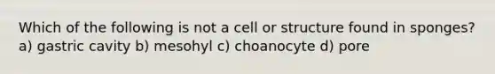 Which of the following is not a cell or structure found in sponges? a) gastric cavity b) mesohyl c) choanocyte d) pore