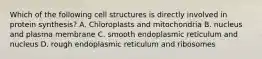 Which of the following cell structures is directly involved in protein synthesis? A. Chloroplasts and mitochondria B. nucleus and plasma membrane C. smooth endoplasmic reticulum and nucleus D. rough endoplasmic reticulum and ribosomes