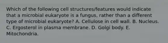 Which of the following cell structures/features would indicate that a microbial eukaryote is a fungus, rather than a different type of microbial eukaryote? A. Cellulose in cell wall. B. Nucleus. C. Ergosterol in plasma membrane. D. Golgi body. E. Mitochondria.