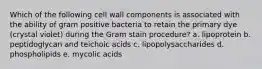 Which of the following cell wall components is associated with the ability of gram positive bacteria to retain the primary dye (crystal violet) during the Gram stain procedure? a. lipoprotein b. peptidoglycan and teichoic acids c. lipopolysaccharides d. phospholipids e. mycolic acids