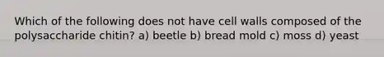 Which of the following does not have cell walls composed of the polysaccharide chitin? a) beetle b) bread mold c) moss d) yeast