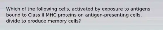 Which of the following cells, activated by exposure to antigens bound to Class II MHC proteins on antigen-presenting cells, divide to produce memory cells?