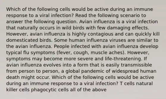 Which of the following cells would be active during an immune response to a viral infection? Read the following scenario to answer the following question. Avian influenza is a viral infection that naturally occurs in wild birds with few damaging effects. However, avian influenza is highly contagious and can quickly kill domesticated birds. Some human influenza viruses are similar to the avian influenza. People infected with avian influenza develop typical flu symptoms (fever, cough, muscle aches). However, symptoms may become more severe and life-threatening. If avian influenza evolves into a form that is easily transmissible from person to person, a global pandemic of widespread human death might occur. Which of the following cells would be active during an immune response to a viral infection? T cells natural killer cells phagocytic cells all of the above