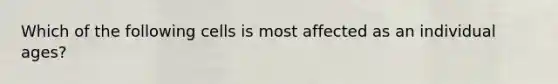 Which of the following cells is most affected as an individual ages?