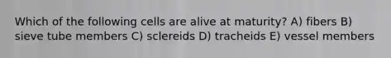 ​Which of the following cells are alive at maturity? A) fibers B) sieve tube members C) sclereids D) tracheids E) vessel members