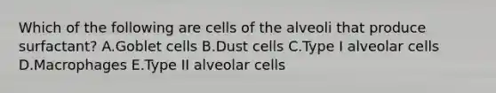 Which of the following are cells of the alveoli that produce surfactant? A.Goblet cells B.Dust cells C.Type I alveolar cells D.Macrophages E.Type II alveolar cells